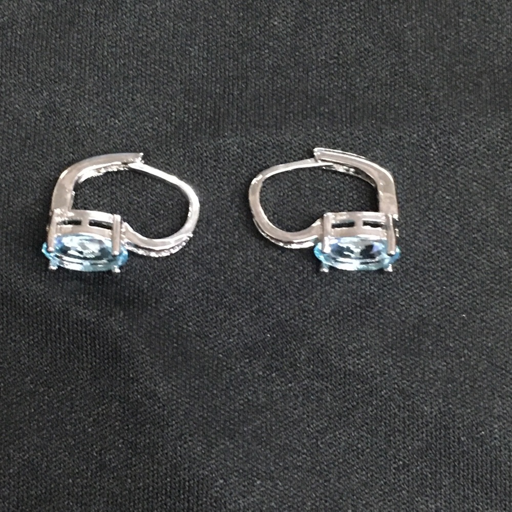 Moonrocy women’s blue earrings - Picture 7 of 8